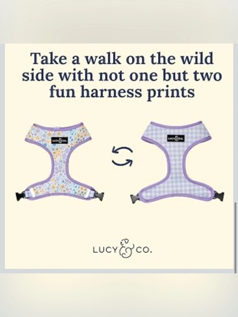 Lucy & Co. Reversible Dog Harness - Water-Repellent Neoprene XL. 2553/DB-1